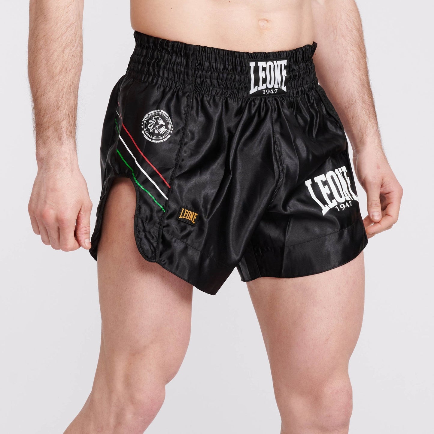 Leone1947 Flag Kick Boxing Shorts